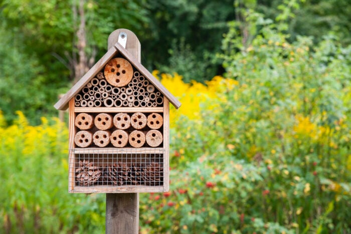 Ein Insektenhotel macht den heimischen Garten attraktiver