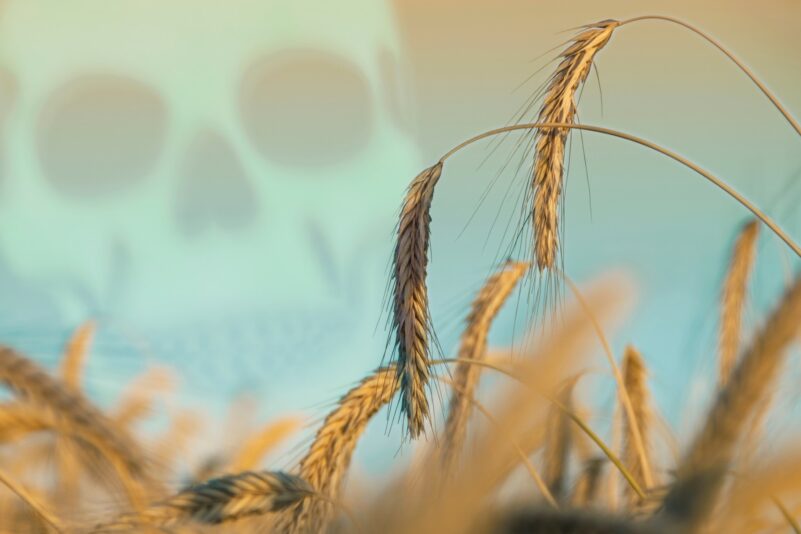 Glyphosat: Das Gift, das niemand sehen will – und wie wir es loswerden