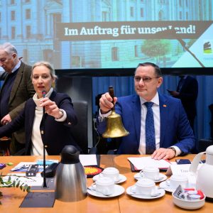 AfD beansprucht wichtige Gremienposten im Bundestag – ein komplizierter Streit