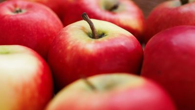 Apfel für Allergiker soll im Herbst in Supermärkte kommen