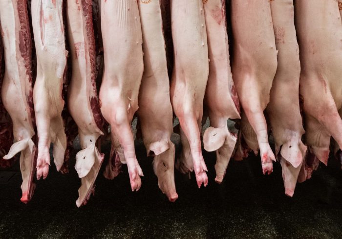 Die Schlachtmenge bei Schweinefleisch steigt um 1,9 Prozent. (Archivbild)