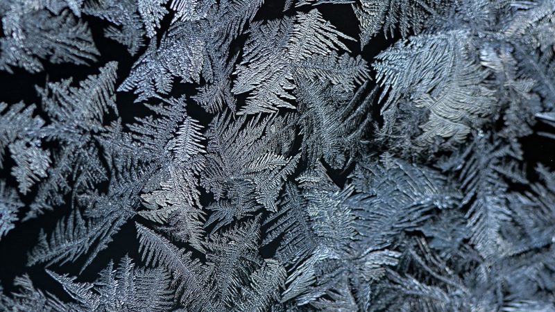 Häufig sehen Eisblumen wie Farnblätter aus. (Archivbild)