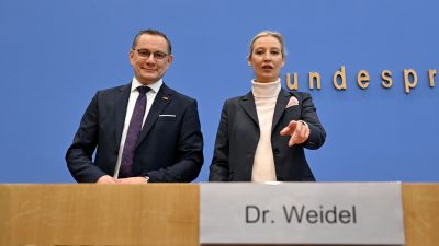 Die Parteivorsitzende der AfD, Alice Weidel, schielt schon auf die nächste Bundestagswahl.