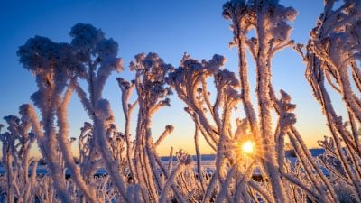 Temperaturen machen Sprung nach oben