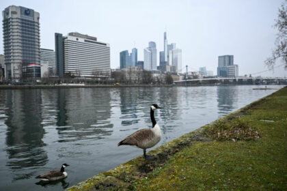 Von Poll Immobilien: Frankfurter Makler steht zum Verkauf