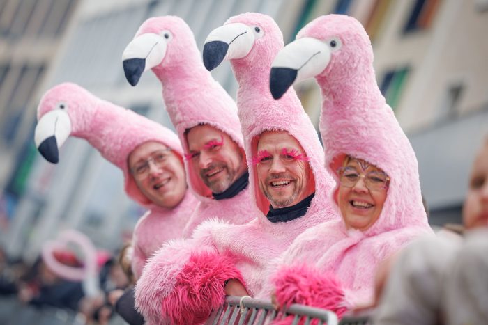 Als Flamingos verkleidete Karnevalisten feiern beim Karnevalsumzug «Ossensamstag» in Osnabrück. 