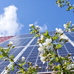 Zu viel Sonne und Wind? Am Samstag gab es Stress für Netzbetreiber