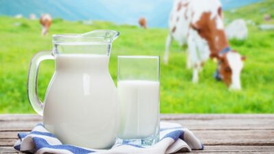 Milch: Vom Grundnahrungsmittel zum Gesundheitsrisiko?