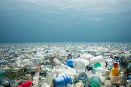 Quelle oder Senke: Welche Rolle nehmen Ozeane bei Mikroplastik ein?