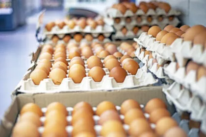 Eierkrise vor Ostern - warum es knapp werden könnte