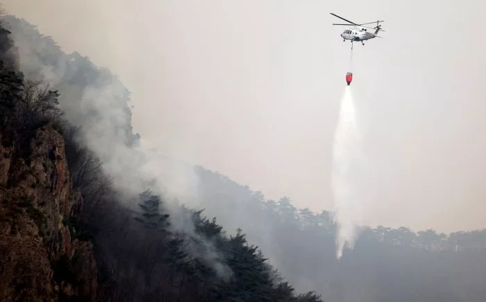 Es handelt sich um die größten Waldbrände in der Geschichte des Landes.