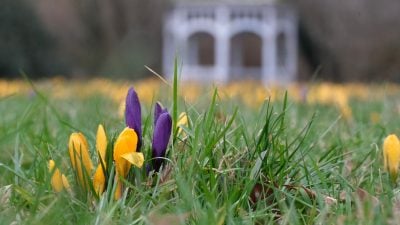 Wetterdienst: „Nun probiert es der Frühling zum zweiten Mal“