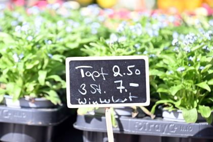 ifo Institut: Weltweiter Anstieg der Inflationsraten erwartet