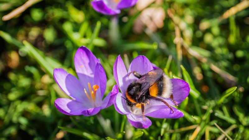 Das Wochenende bringt milde Temperaturen und viel Sonnenschein.