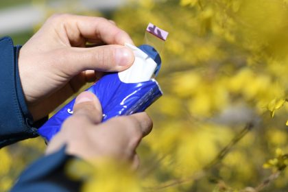 Nase voll vom Frühling – welche Pollen sind jetzt unterwegs?