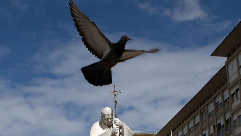 Papst Franziskus im Krankenhaus: Eine Taube fliegt vor der Statue von Johannes Paul II. vor der Poliklinik Agostino Gemelli.