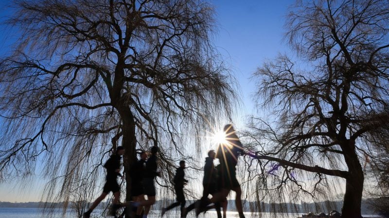 Der Wetterdienst rechnet mit Temperaturen von bis zu 20 Grad im Verlauf der Woche.