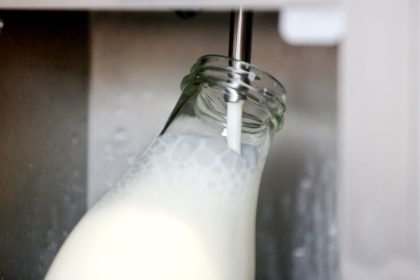 Streit um Autozölle: China prüft EU-Milchprodukte länger