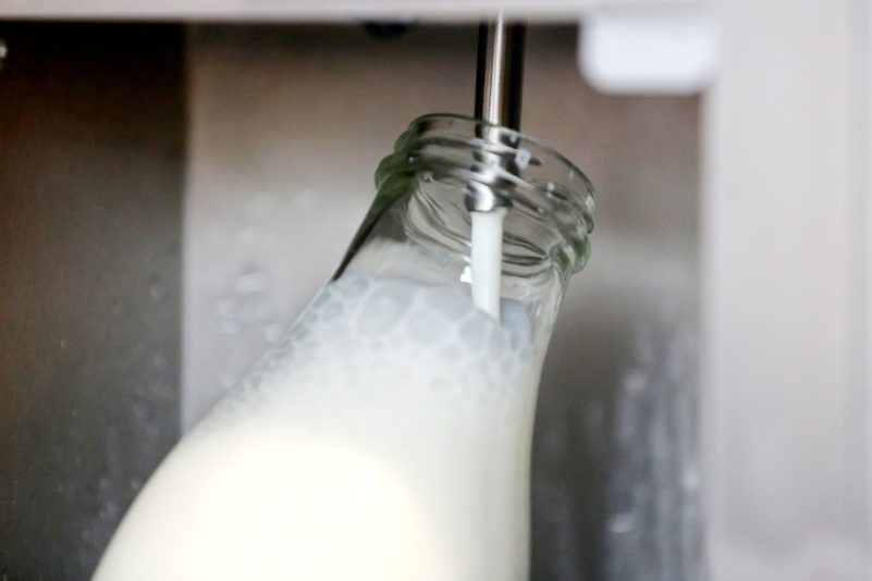 Rohmilch bekommt man direkt ab Hof. (Archivbild)