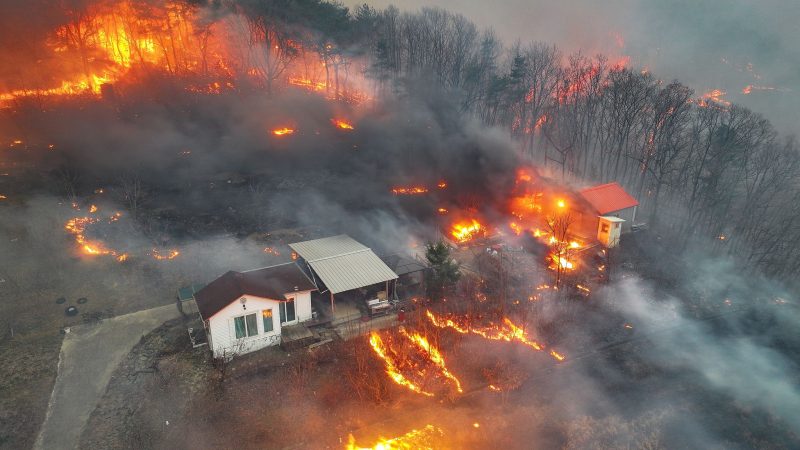 Brände in Ostasien – mindestens 24 Tote in Südkorea