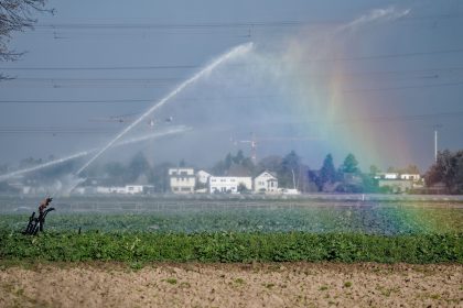 Wegen Trockenheit: EU-Kommission will Verbraucher zu Verbrauch von weniger Wasser bewegen