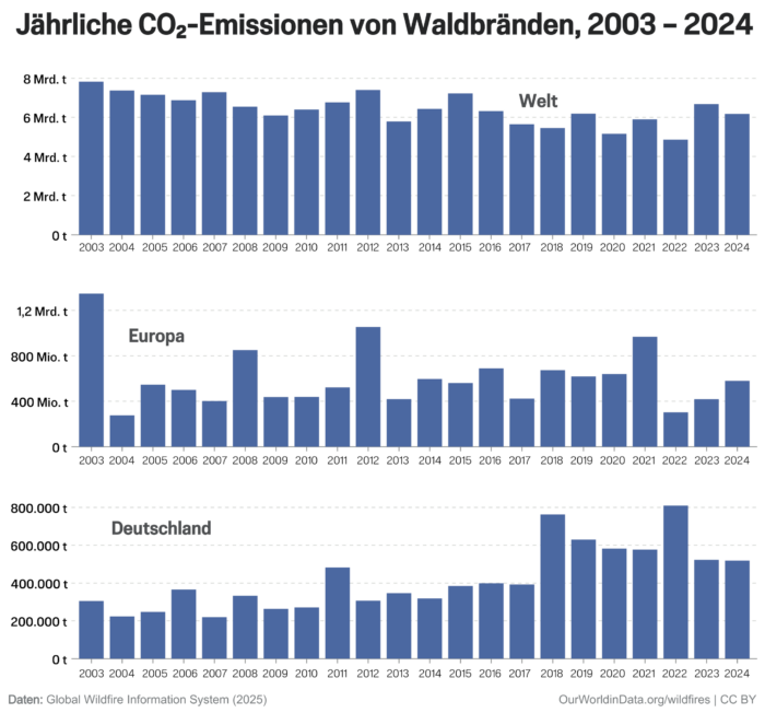Emissionen aus Waldbränden sind weltweit sinkend, in Deutschland ist der Trend ein anderer.