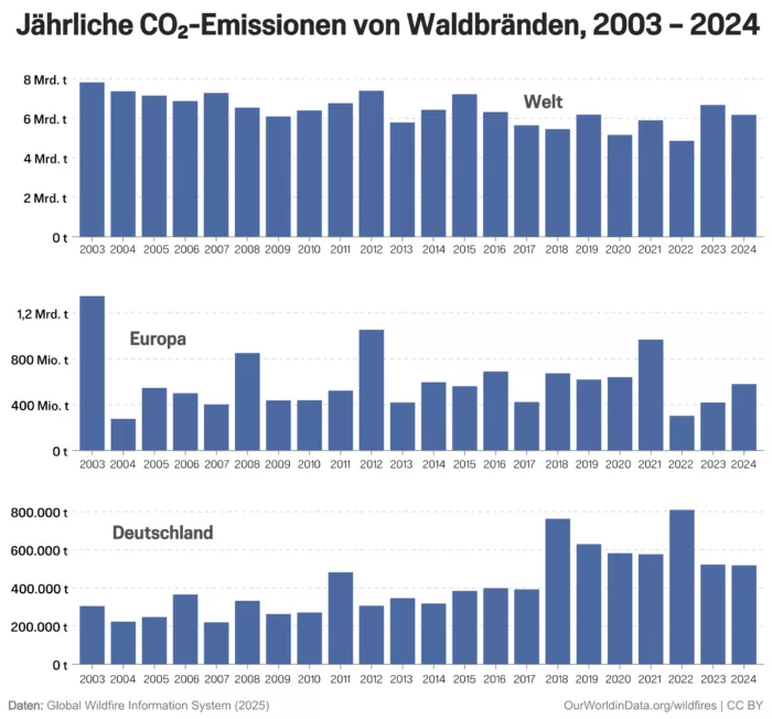 Emissionen aus Waldbränden sind weltweit sinkend, in Deutschland ist der Trend ein anderer.