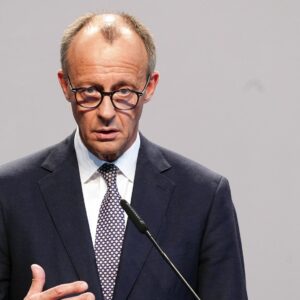 Merz gegen AfD-Verbotsantrag: Das „riecht nach politischer Konkurrentenbeseitigung“