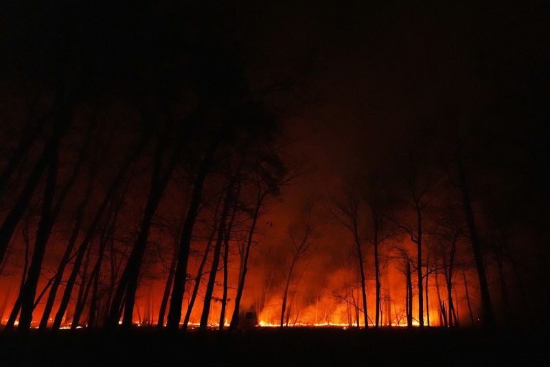 Seit dem Ausbruch des Waldbrandes in New Jersey am Dienstagmorgen breiten sich die Flammen schnell aus.