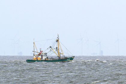 EU-Gericht weist Klage gegen Fangverbote in der Nordsee ab