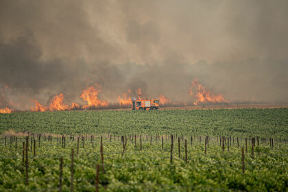 Brände bei Jerusalem: Internationale Hilfe mit Löschhubschraubern