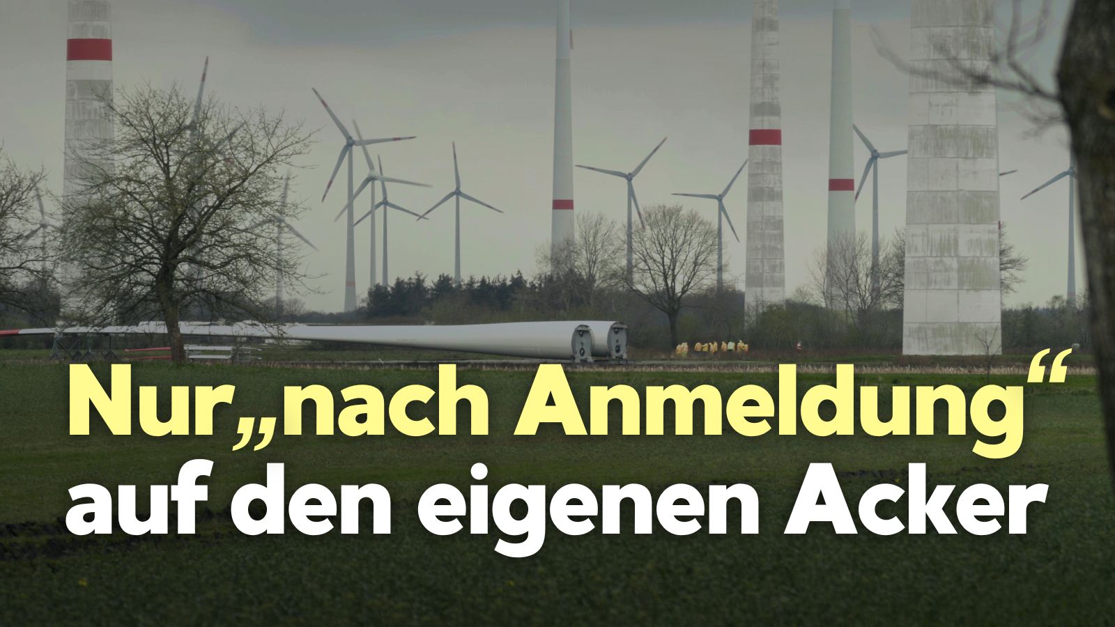 Windpark Alfstedt nach drei Rotorblattbrüchen wieder in Betrieb – unter Auflagen