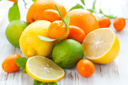 Mit Zitrusfrüchten Durchblutung und Gehirnfunktion verbessern