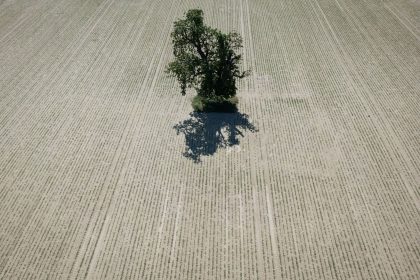 Wetterdienst misst extreme Trockenheit im Frühjahr