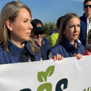 Spanien enteignet Bauern: 200.000 alte Olivenbäume müssen Solarzellen weichen