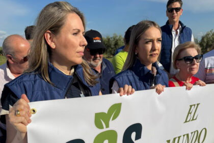 Spanien enteignet Bauern: 200.000 alte Olivenbäume müssen Solarzellen weichen