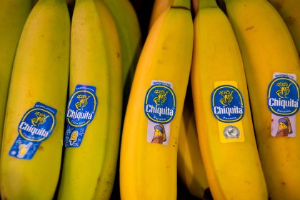 Nach Streik: Chiquita-Tochter entlässt gesamte Belegschaft in Panama