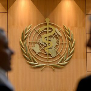 Chikungunya breitet sich in China aus – WHO warnt global