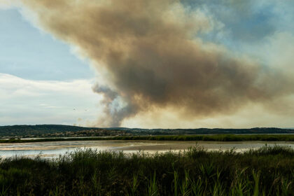 Waldbrände in Südfrankreich ausgebrochen