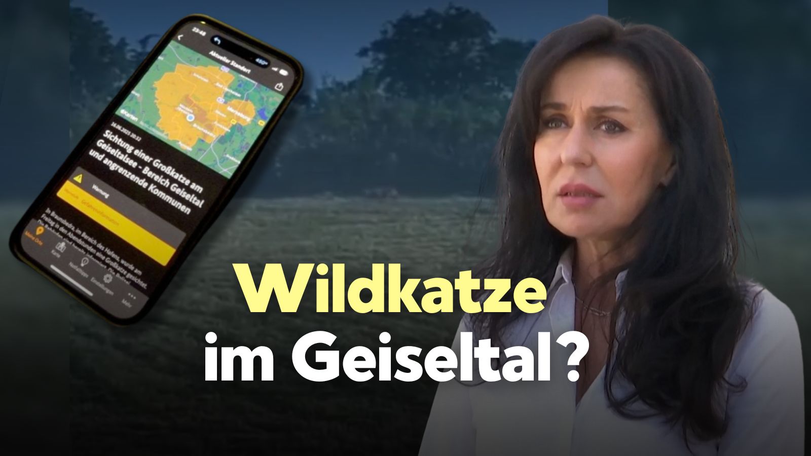 Wildkatze im Geiseltal? Video von mutmaßlichem Raubtier hält Behörden in Atem