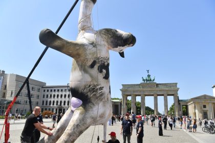 Tierschützer hängen riesige Kuh vor das Brandenburger Tor