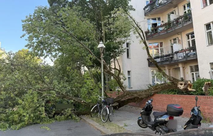 Um die Sturmschäden zu beseitigen, musste die Feuerwehr am Montagabend zu zahlreichen Einsätzen ausrücken.