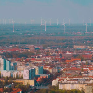 Berliner Senat will Wälder für Windkraftanlagen lichten