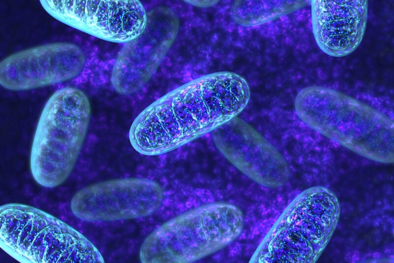 Wenn-die-Zellkraftwerke-streiken-So-helfen-Sie-Ihren-Mitochondrien