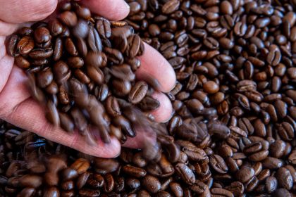 Ernteausfälle treiben den Preis: Bohnenkaffee deutlich teurer als im Vorjahr