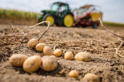 Traditionskultur im Wandel: Hat die Kartoffel in Deutschland noch Zukunft?