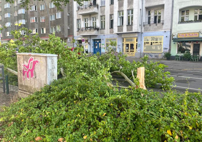 Windstärke 11 - so ein heftiger Wind ist in Berlin ungewöhnlich.