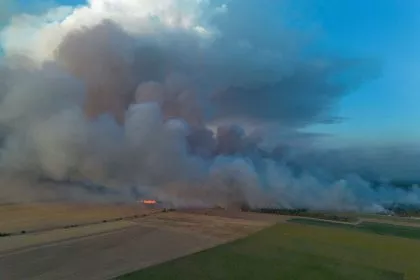 Mehrere Waldbrände halten Feuerwehren im Osten in Atem