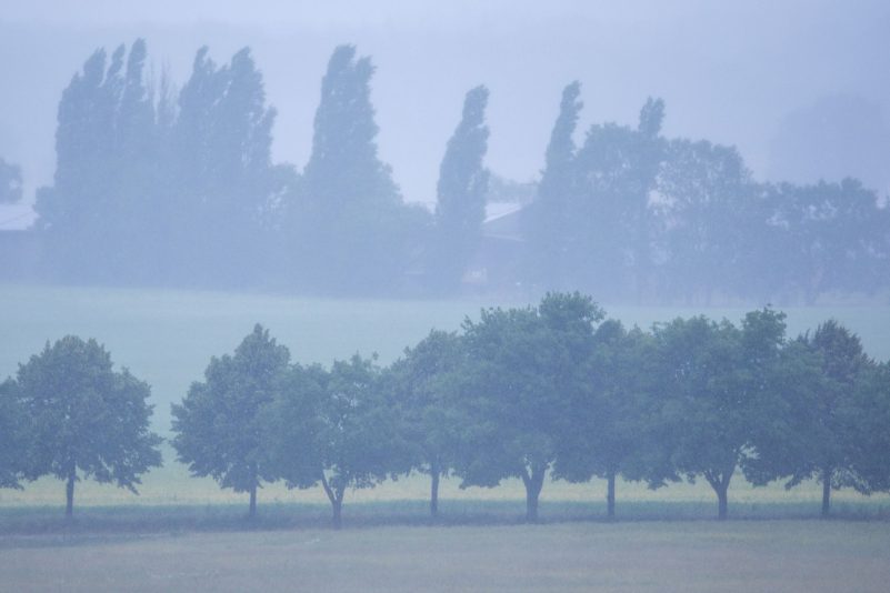 Im Nordosten Deutschlands wird heftiger Regen erwartet. (Archivbild)