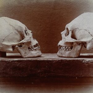 Außerirdische Erscheinung: Woher kommen die mysteriösen Turmschädel?